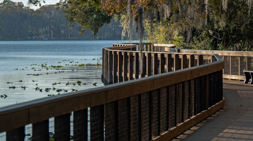 ดิกซีแลนด์