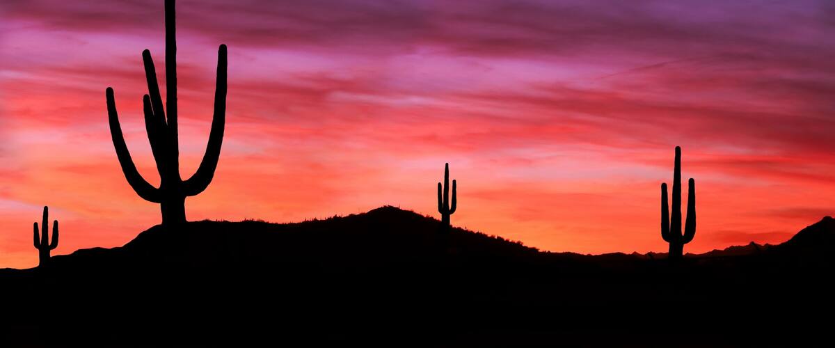 Colorful Sunset in Wild West Desert of Arizona with Cactus
