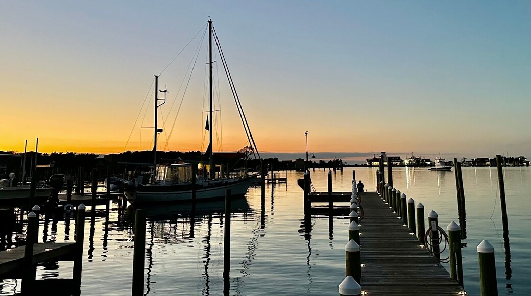 เคปไอส์แลนด์