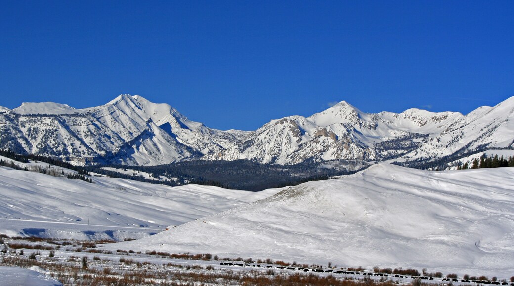 ครีกไซด์ มีโดว์ส