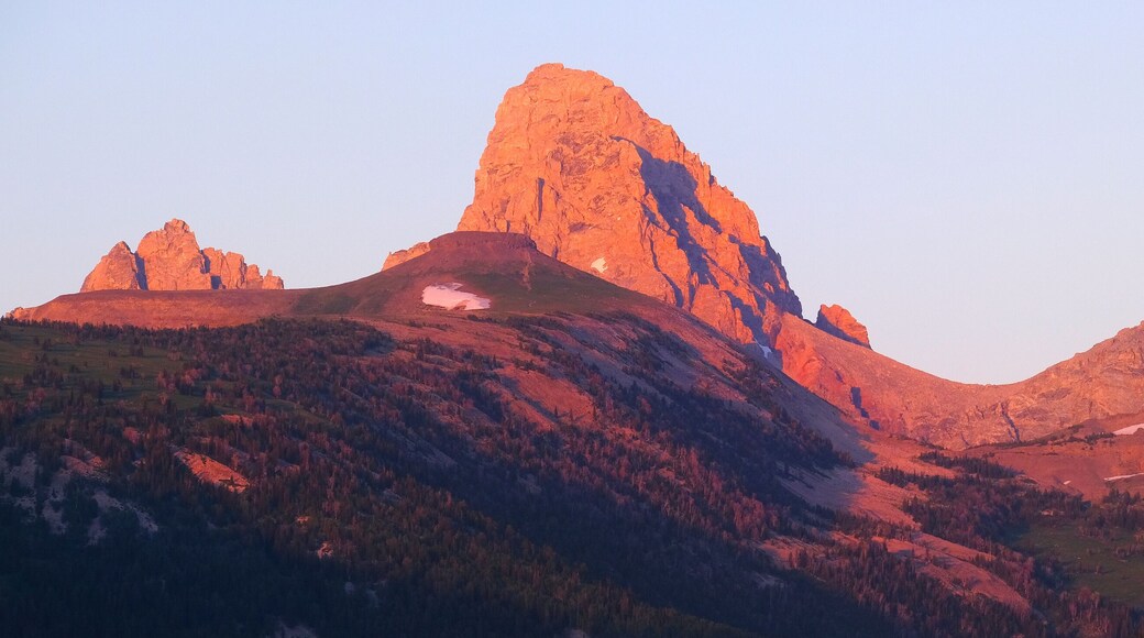 ครีกไซด์ มีโดว์ส