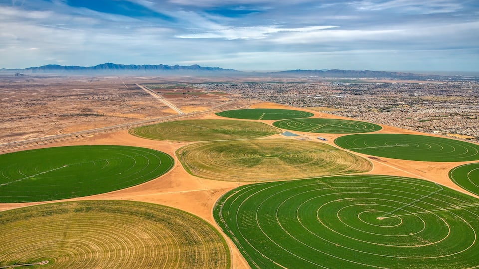 Crop Circles south of Phoenix, Arizona