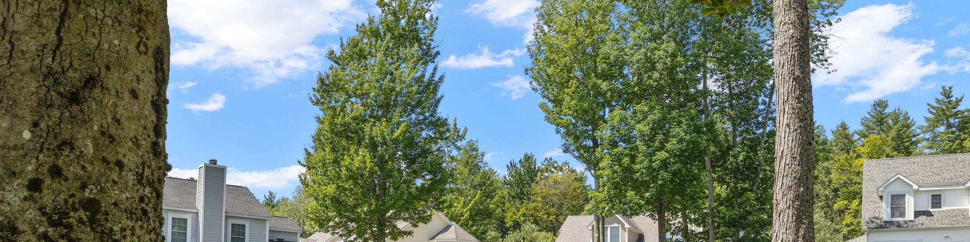 Houses with a garden in South Down Shores, Laconia, New Hampshire