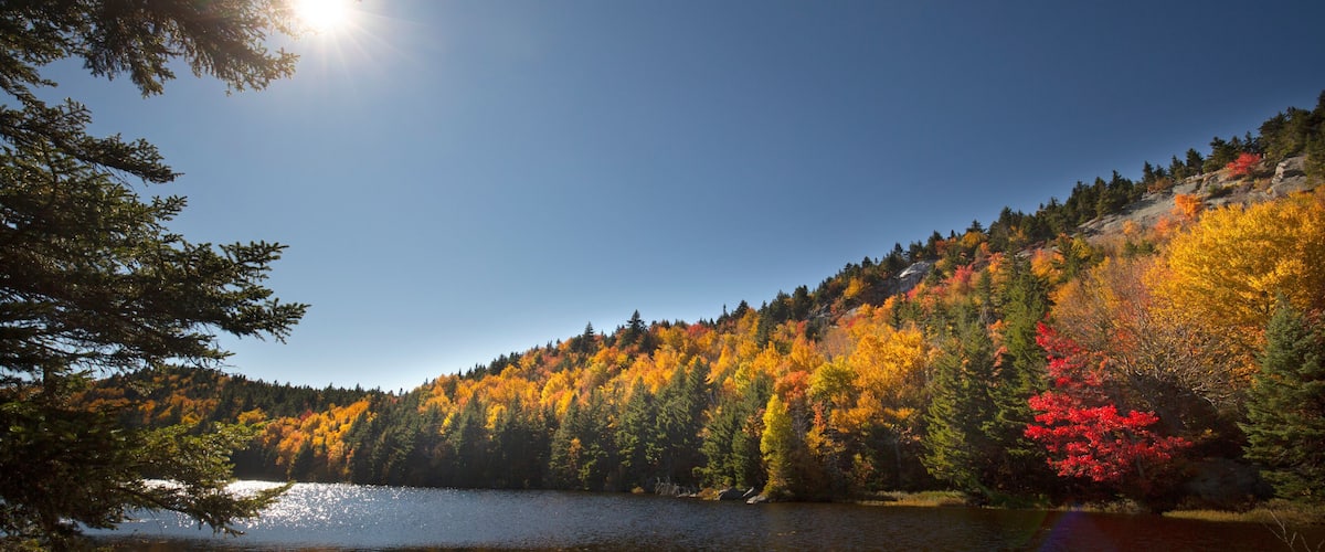 Vibrant fall foliage with a sun flare on Lake Solitude.