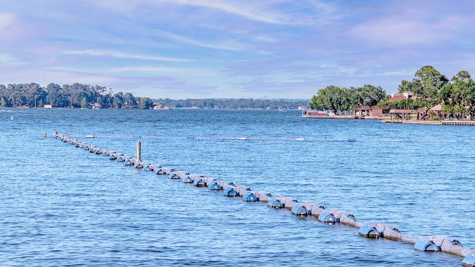 Lake Conroe