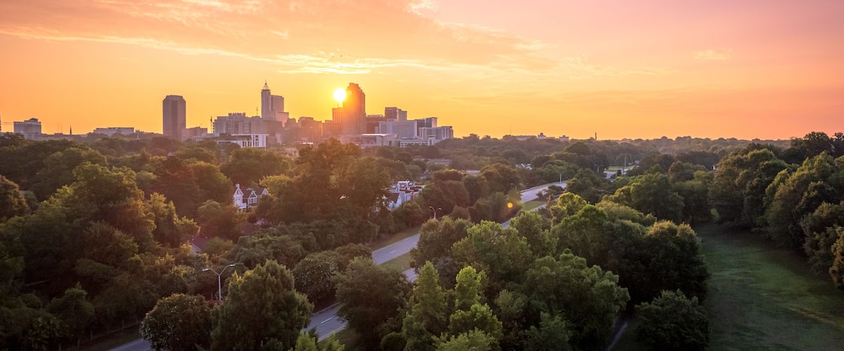 A city skyline at sunset with a park in the foreground.