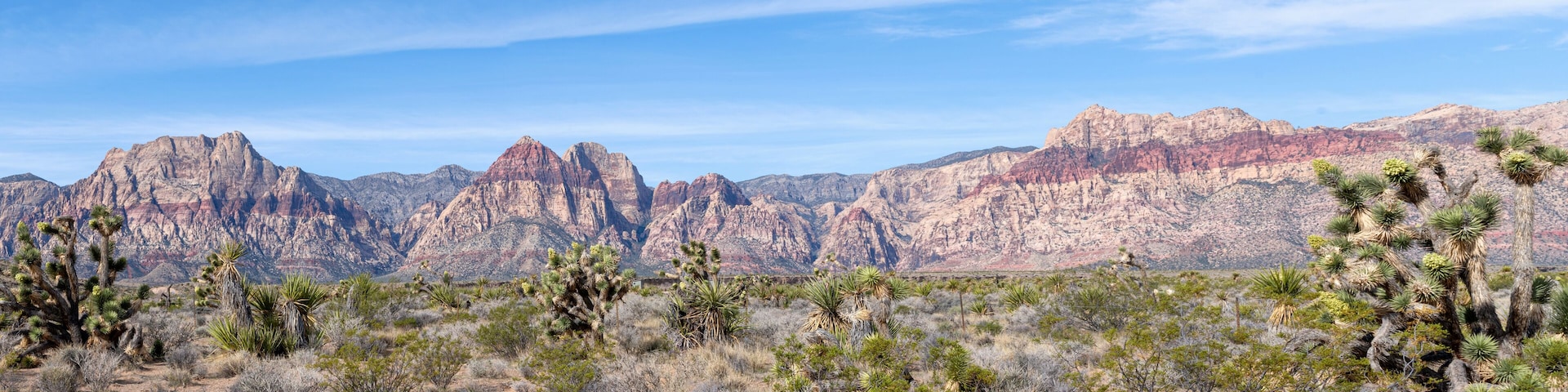Red Rock Canyon National Conservation Area in Nevada
