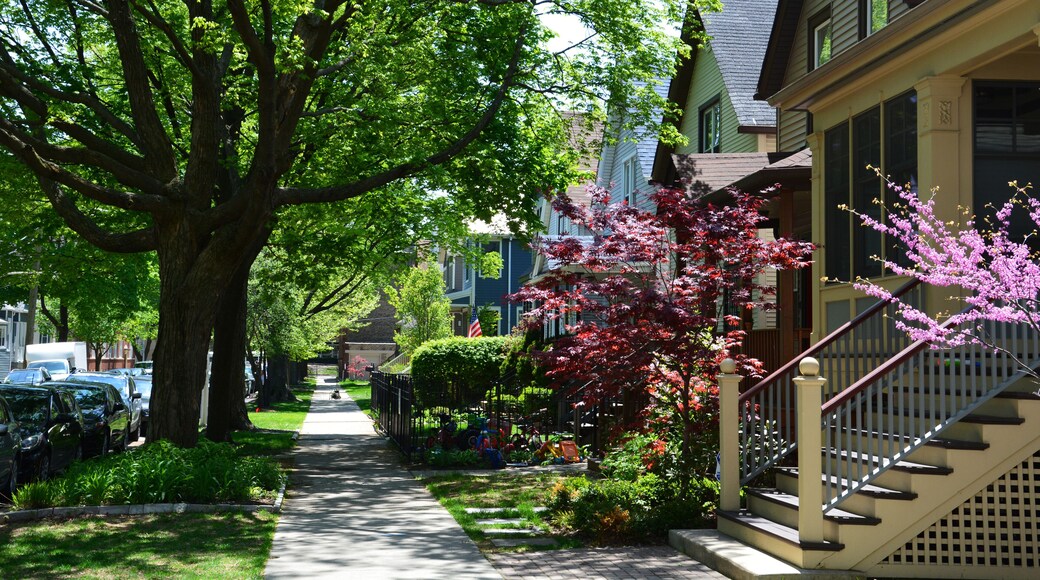 Spring has arrived in a residential neighborhood of Chicago