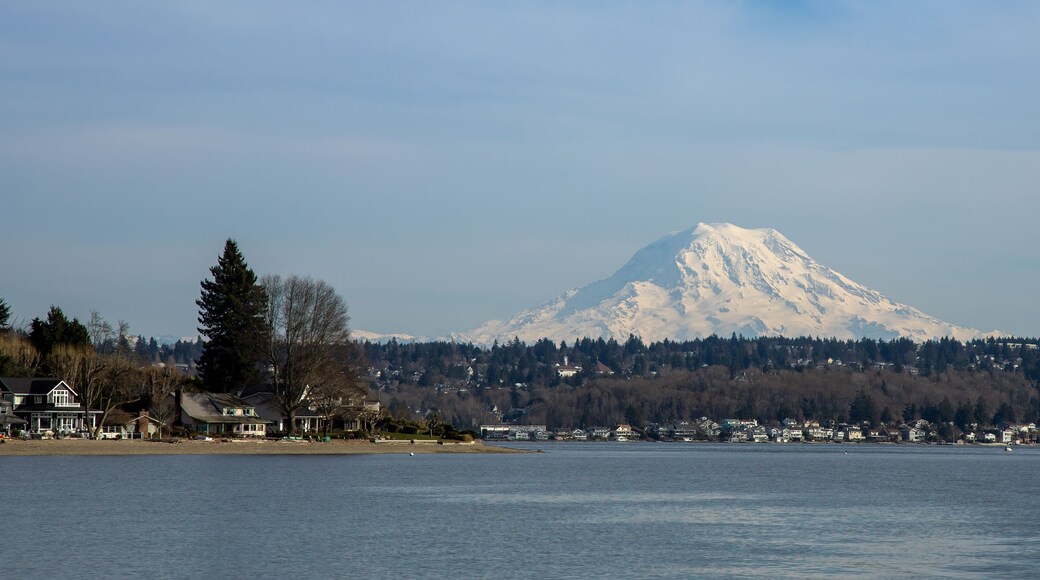 Mount Rainier as seen from south Puget Sound with Gig Harbor's Magnolia Heights waterfront houses in the foreground.