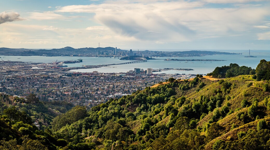 Views from Vollmer Peak