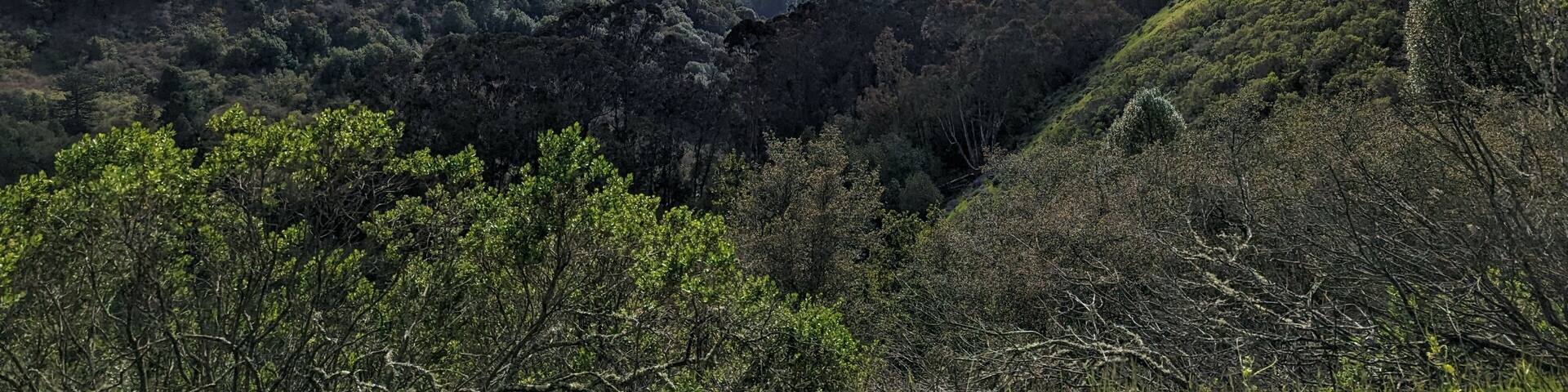 view of the San Francisco Bay Area on the way to Charles Lee Tilden Regional Park, California