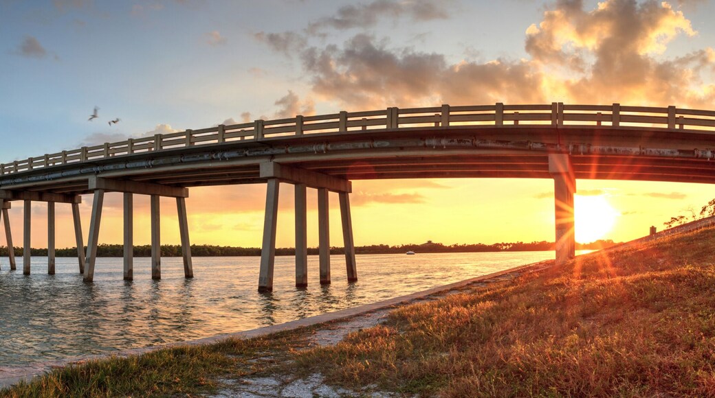 โบนิตาเบย์