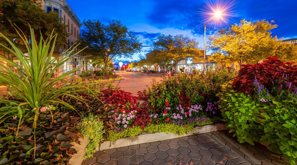Old Town, Fort Collins at Blue Hour