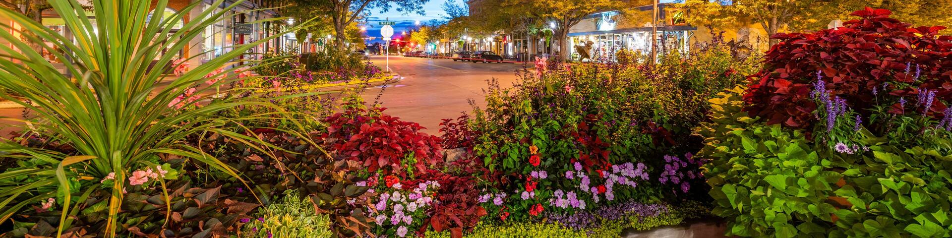 Old Town, Fort Collins at Blue Hour