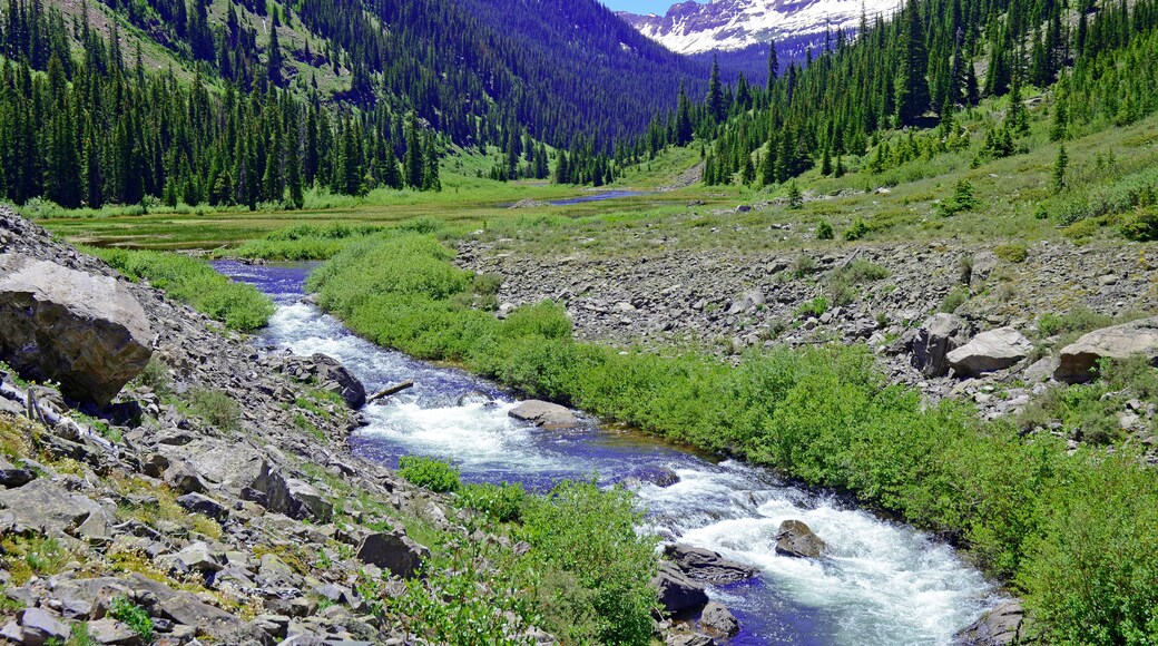 スプリング クリーク ランチ