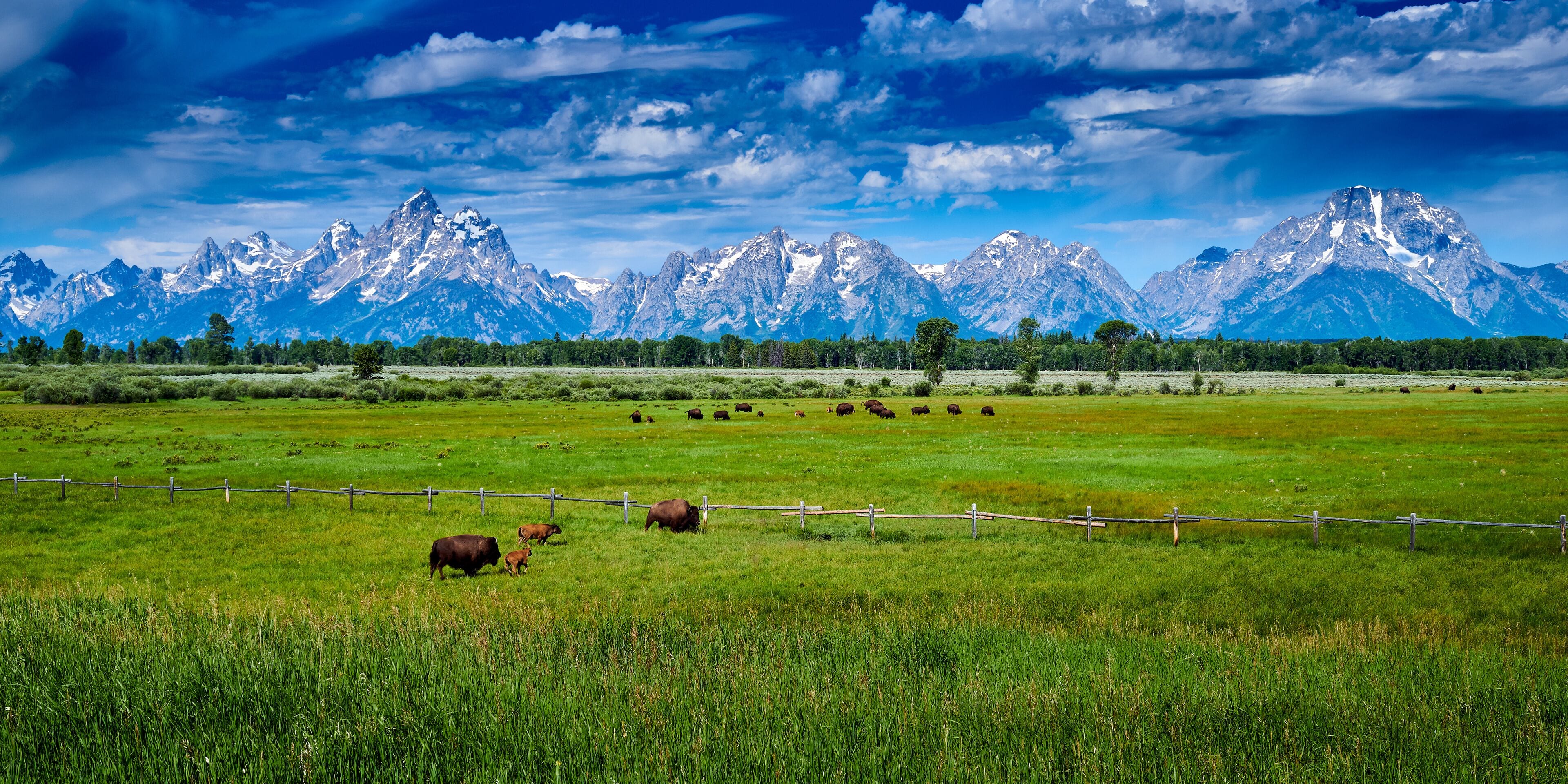 スプリング クリーク ランチ