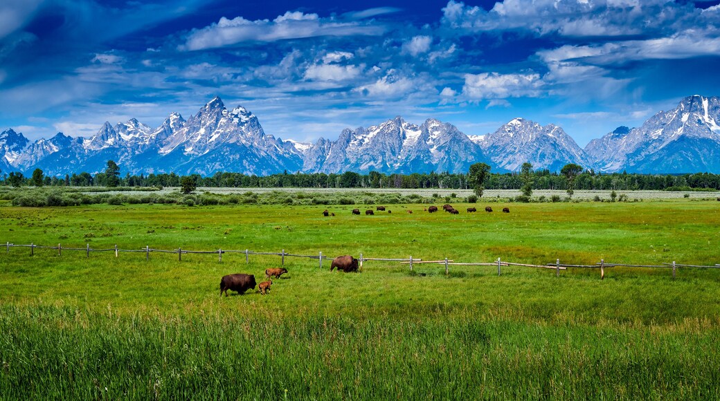 スプリング クリーク ランチ