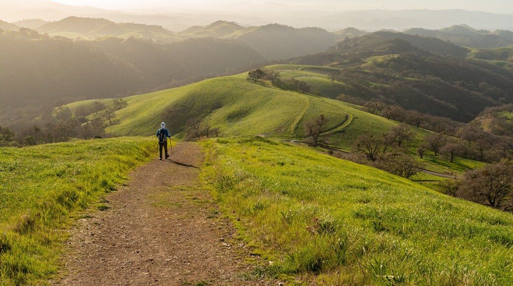 Lone hiker on a trail along a descending ridgeline with distance hills partially hidden in the fog and haze, Mt. Diablo State Park, California