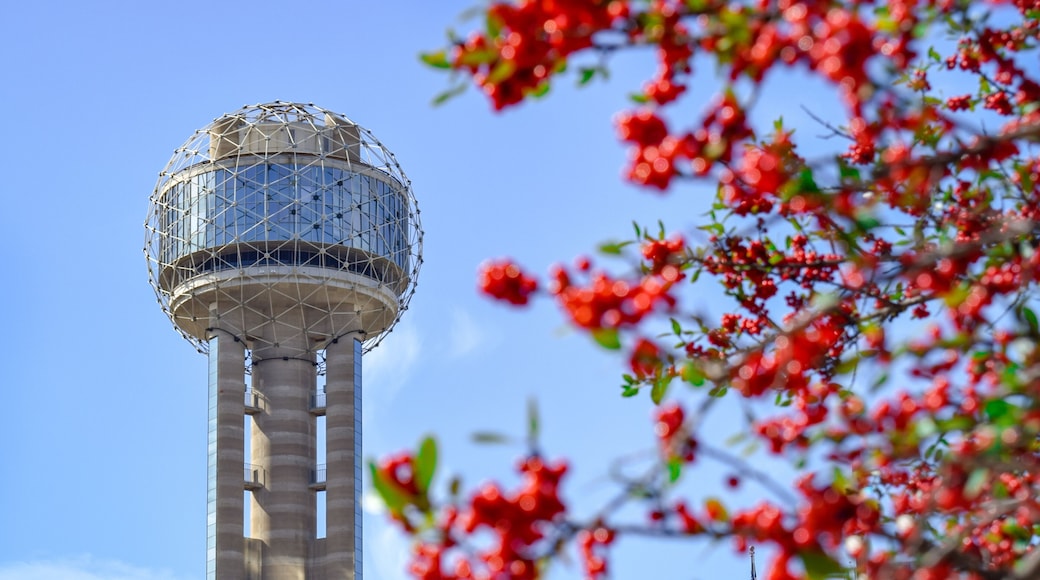 นอร์ท เบอร์เน็ต