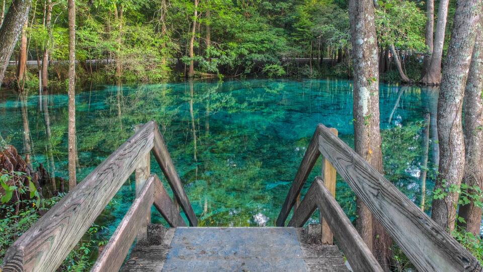 Minnie springs peace