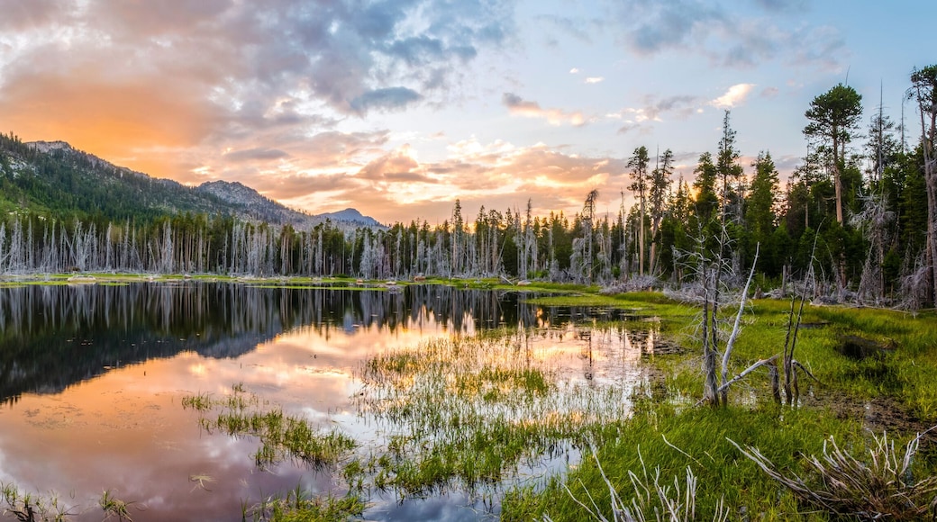 A panoramic image of a beautiful sunset and a section of the Sierra Crest (Flagpole Peak, Echo Peak and Mount Tallac) reflecting in an alpine swamp near South Lake Tahoe, California.
