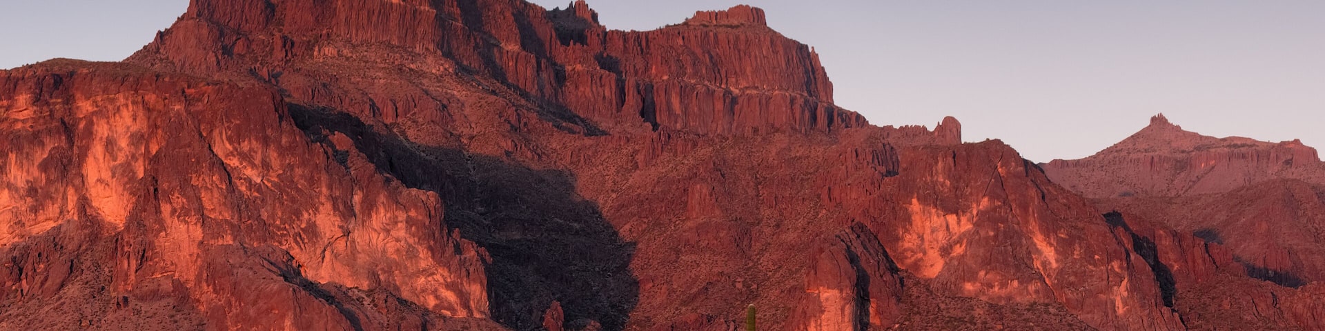 Superstition Cougar Shadow