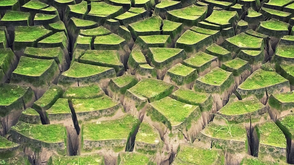 Drinking water treatment sludge, or alum or solids, is what is filtered from water before being distributed to consumers. This photo is of the solids drying in a bed with some grass and other greenery growing on top.
#green #patterns