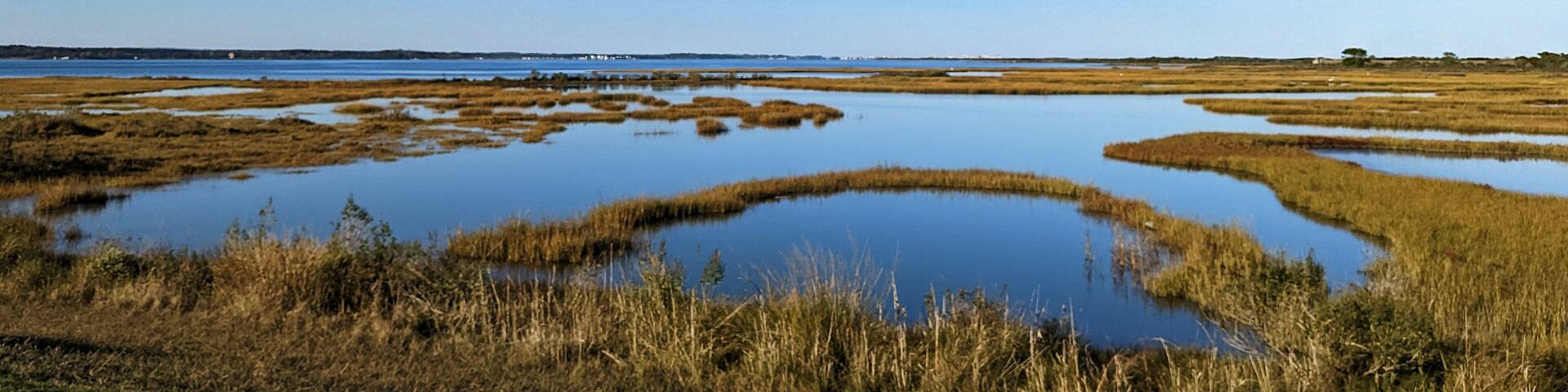 A coastal landscape with a clear blue sky, a calm sea, and a marshy area with water reflecting the sky.