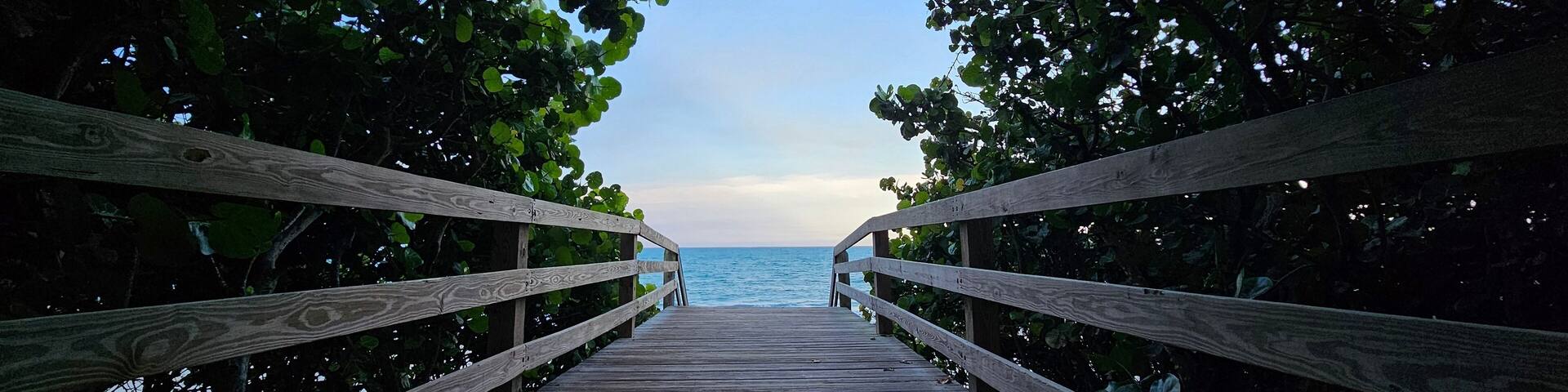 Pier leading to the beach surrounded by greenery