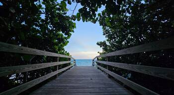 โอ กัลลี ชอร์ส