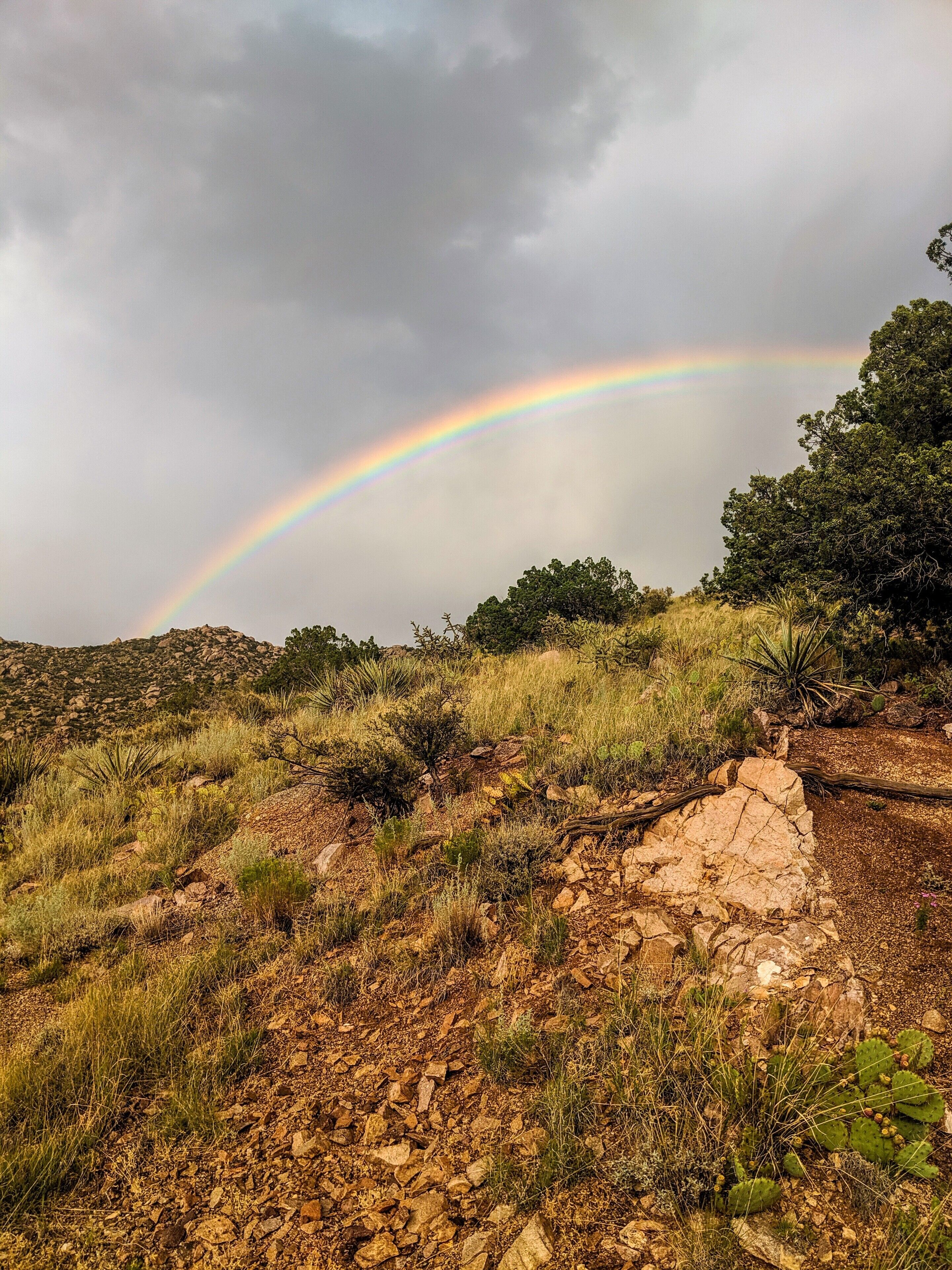 A landscape with a rainbow arching over a rocky terrain with sparse vegetation.