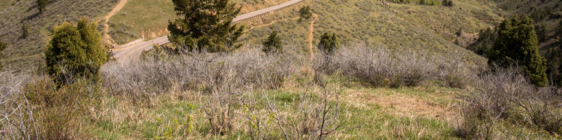 Road Up Lookout Mountain