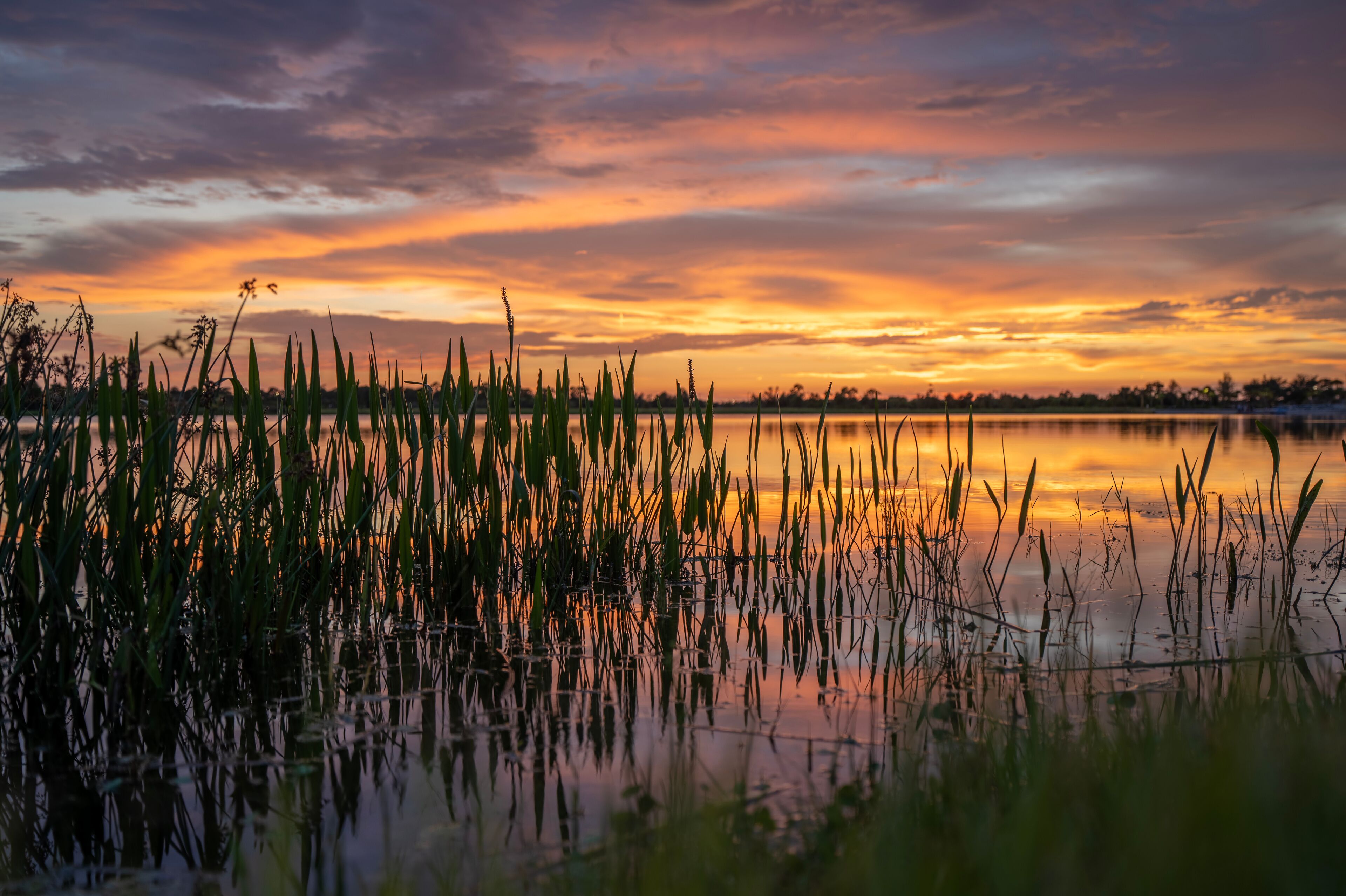 Lake sunset in Wellen park in North Port, Florida