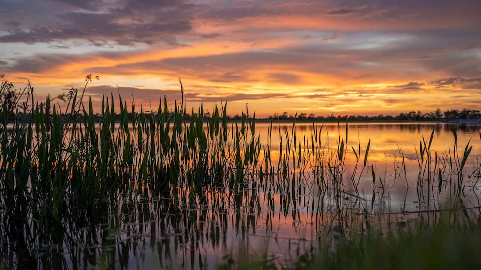 Lake sunset in Wellen park in North Port, Florida