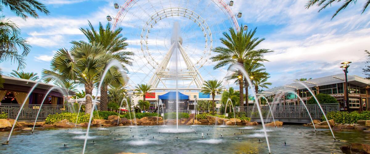 A water fountain, palm trees, and a Ferris wheel.