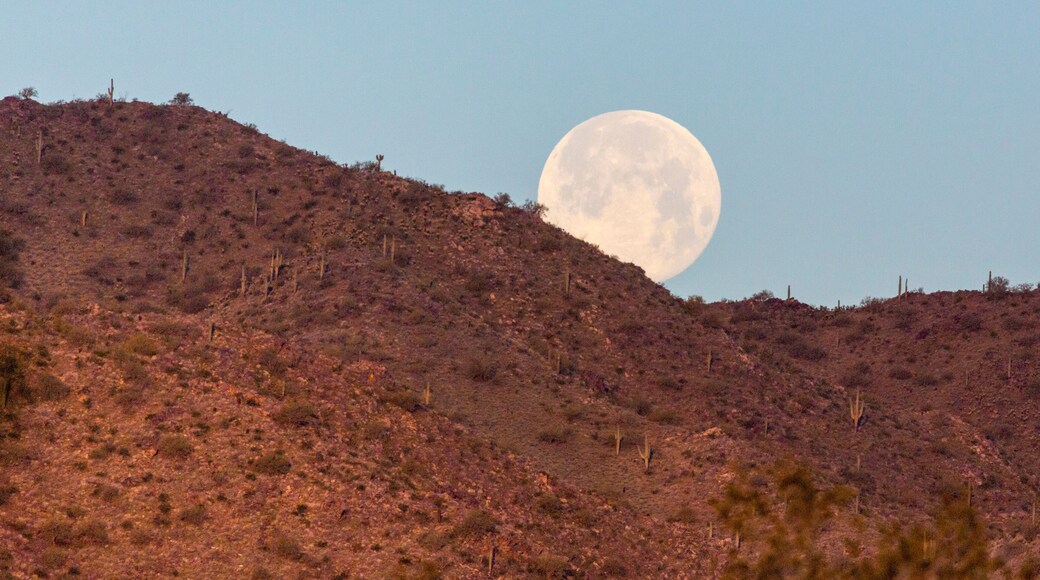 サンセット ポイント