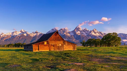 T.A. Moulton Barn at Sunrise