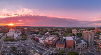 แมคไบรด์