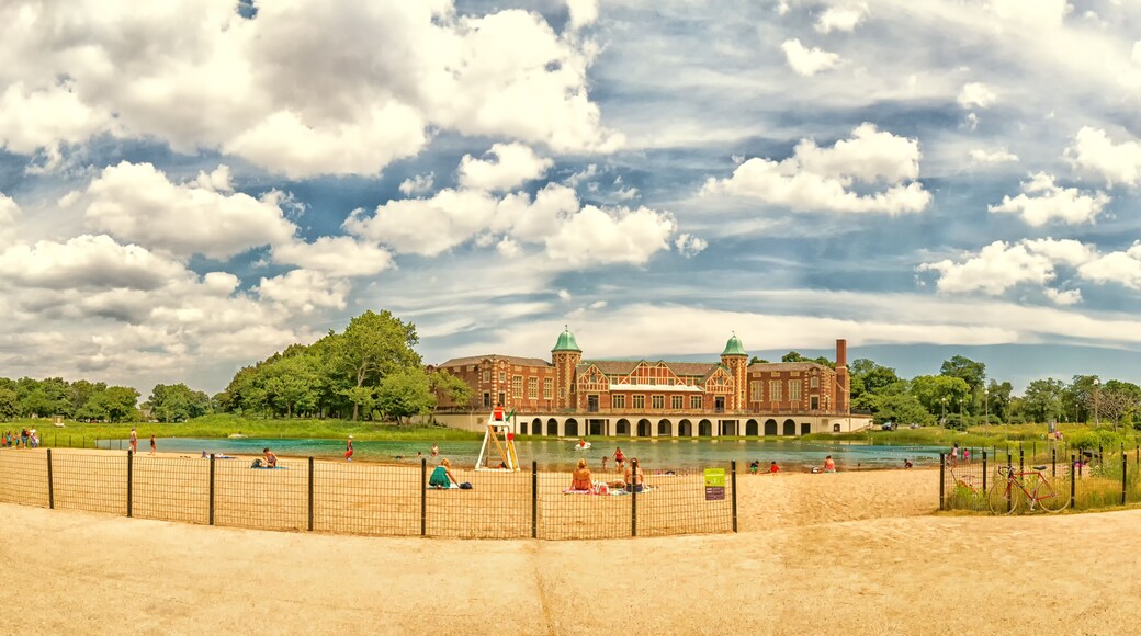 ํ๋์คํค ํํฌ