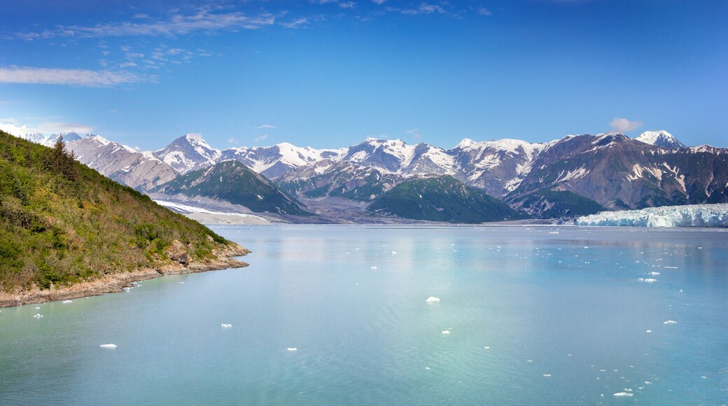 เวสต์ จูโน