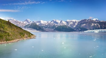 Glacier Bay Alaska.