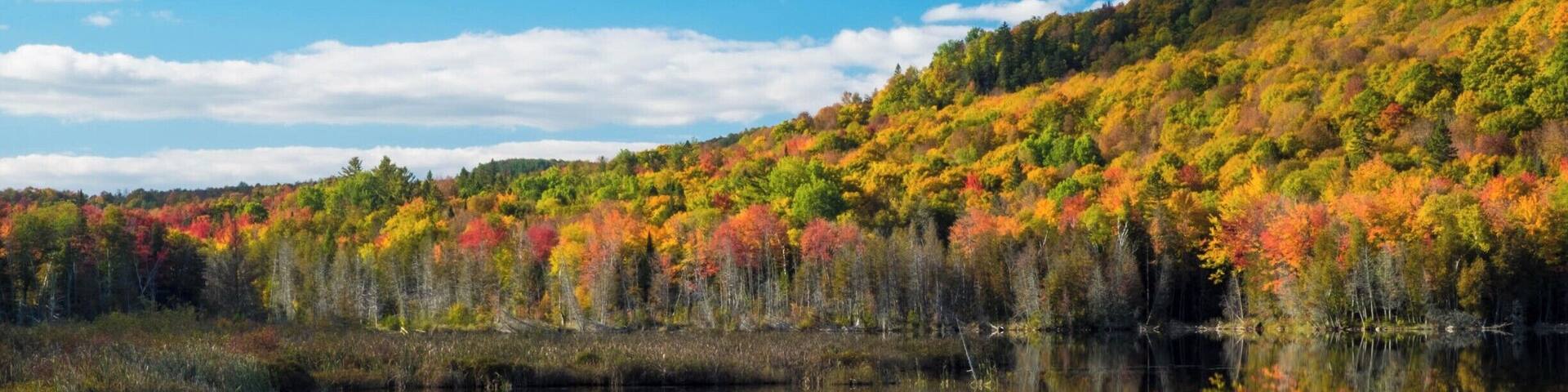 Great foliage opportunities along Route 5 from Hanover NH to Quebec City Canada.
This late afternoon shot on Oct 5.