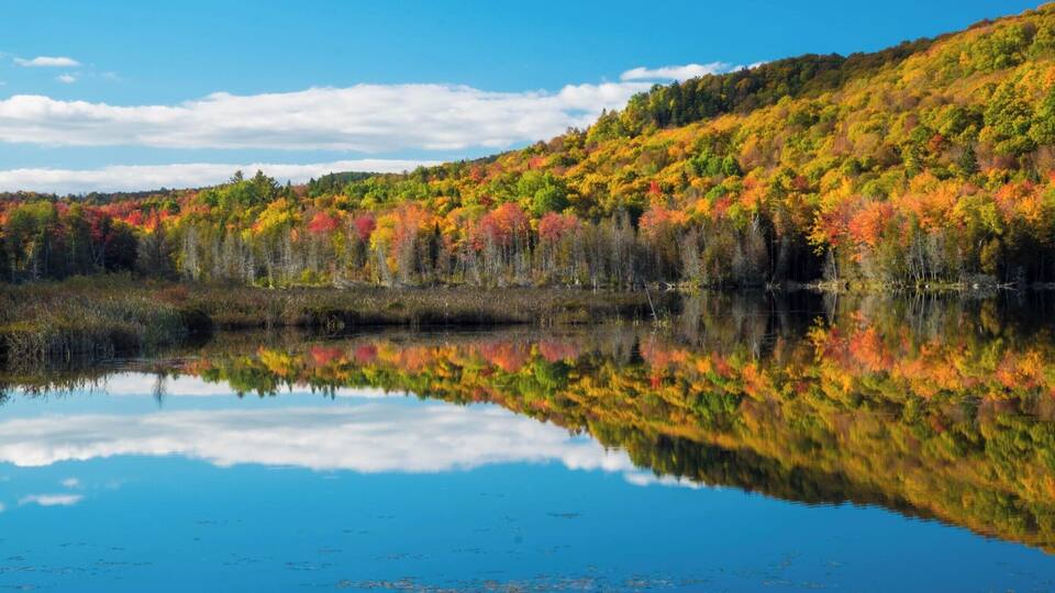 Great foliage opportunities along Route 5 from Hanover NH to Quebec City Canada.
This late afternoon shot on Oct 5.