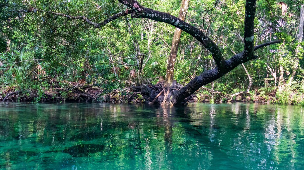 Weeki Wachee River, Florida