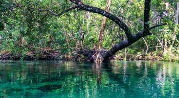 Weeki Wachee River, Florida