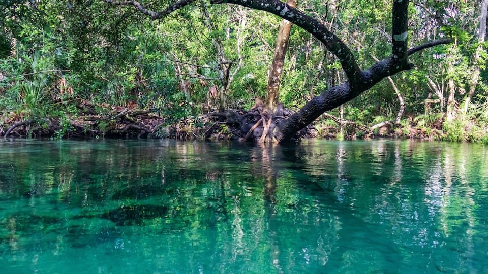 Weeki Wachee River, Florida