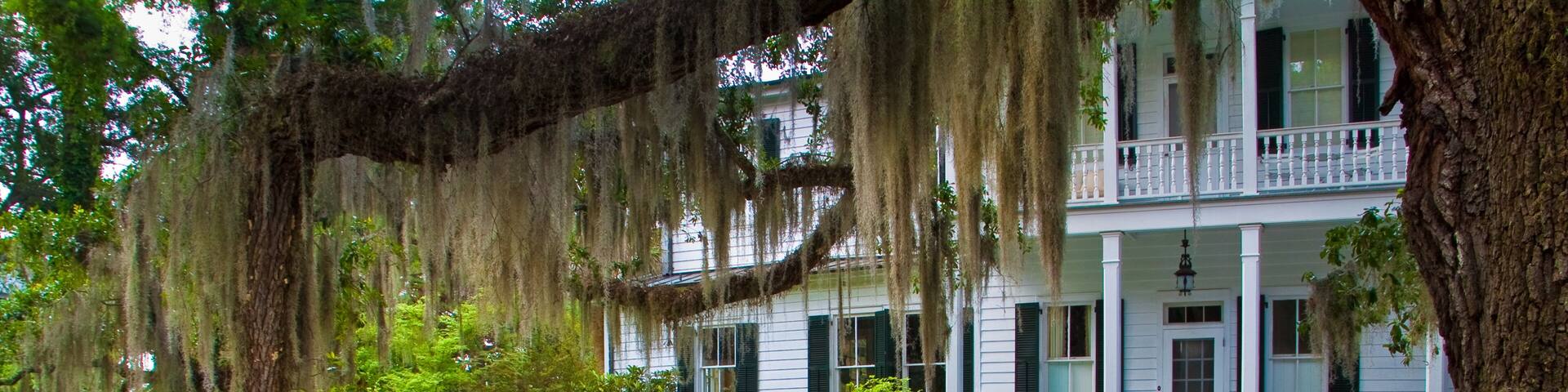 Oak Tree Covered With Spanish Moss and Historic Home Near the Point Historic District, Beaufort, South Carolina, USA