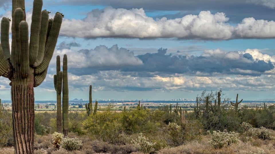 White Tank Mountain State Park Near Phoenix Arizona