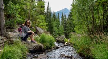 ์ ์คํ ๋ธ๋ฃฉ