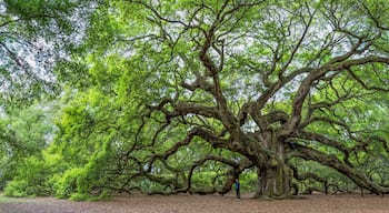 ๋ฐด๋ํธ์คํธ ํ๋ํ
์ด์
